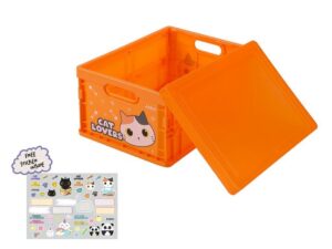 Caja plegable ORANGE CAT